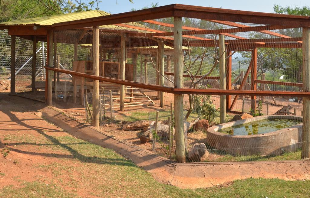Ebundu Lodge White River Zewnętrze zdjęcie